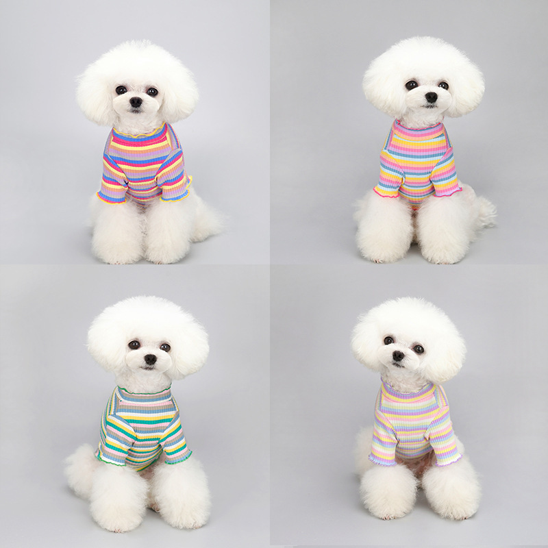 Pet Clothes Spring and Autumn Cotton Rainbow Dog Cat Small Dog Hoodie Clothes