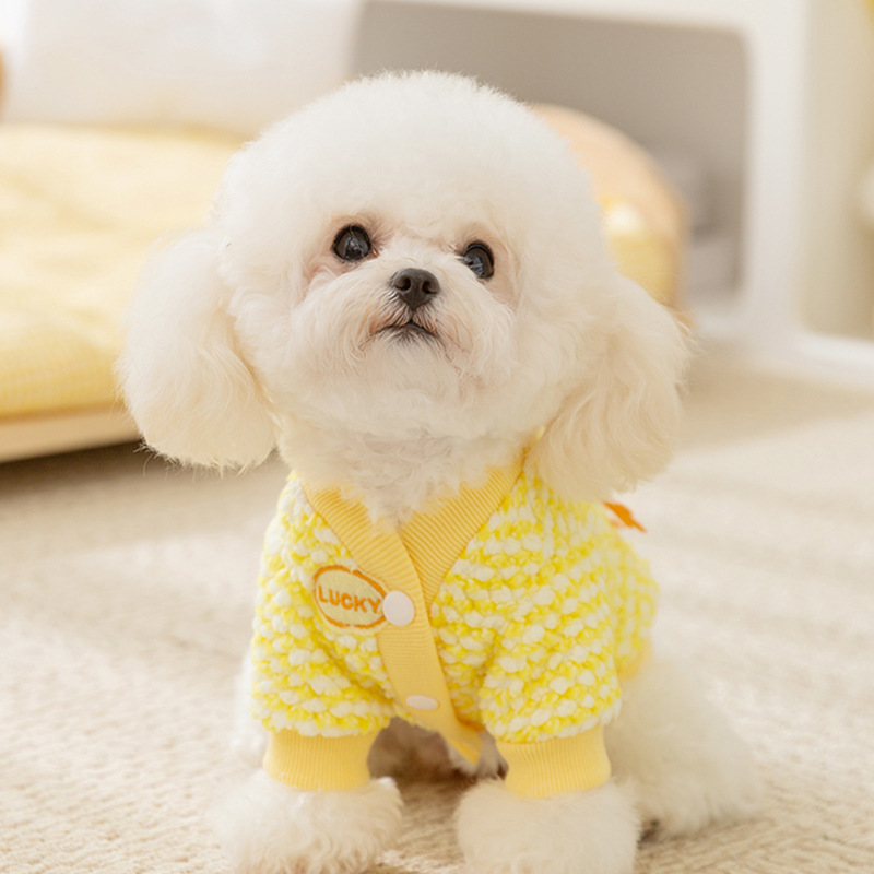 Autumn and winter dog clothes, plush pockets, two foot plush clothes, thick and warm, winter teddy bear pet clothes