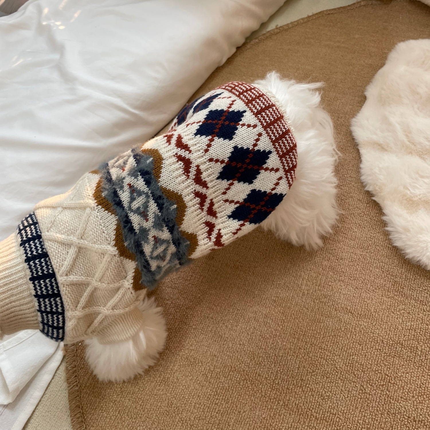 Dog Apparel Pet Autumn/Winter Single Breasted Sweater INS Teddy Small Cat Contrast Designer Clothes