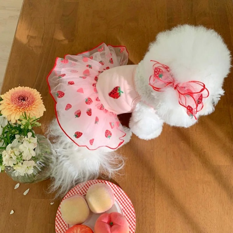 Puppy Princess Dresses Dog Cute Dress Strawberry Pattern Skirt Chihuahua Yorkie Sweet Skirts Summer Pet Clothes