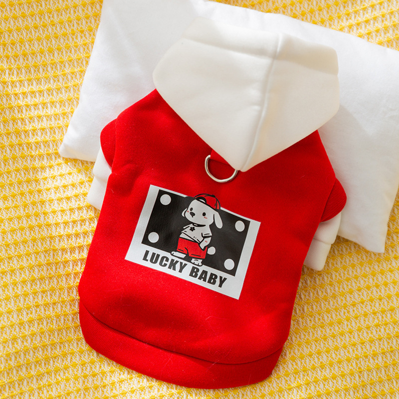 New autumn and winter trendy and cool casual little dog clothes, hoodies, thin designs for cats, small and medium-sized