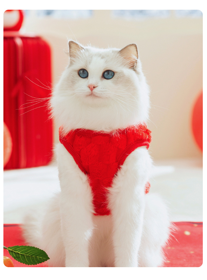 Autumn and winter cat clothing New Year festive two-legged fleece coat Blue cat baby cat pet cat clothing