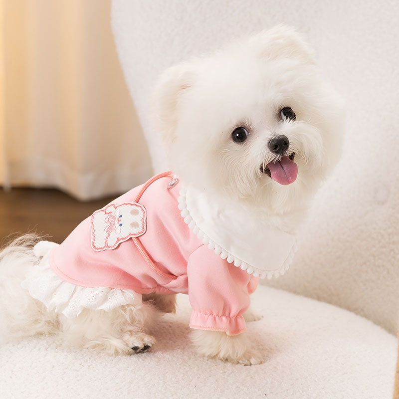 Spring and Autumn New Dog Clothes Flip Collar Hoodie Can Pull Two Feet Warm Teddy Pet Clothing HS47