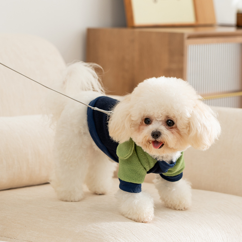 24 Autumn and winter new dog three-dimensional ears cartoon cashmere pet cat dog clothes warm pet clothing