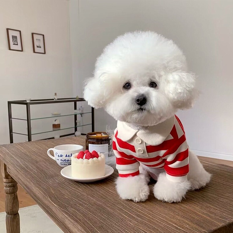 Spring Dog Clothing Casual Striped Round Neck T-shirt Small and Medium sized Dog Thin Polo Shirt Two Leg Clothing Pet HS44