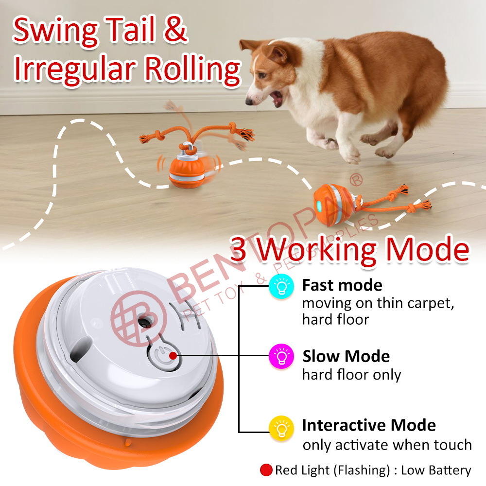 Electric Dog Leash Toy With Built-in Bird Sound Stimulation Suitable For Puppies,cat