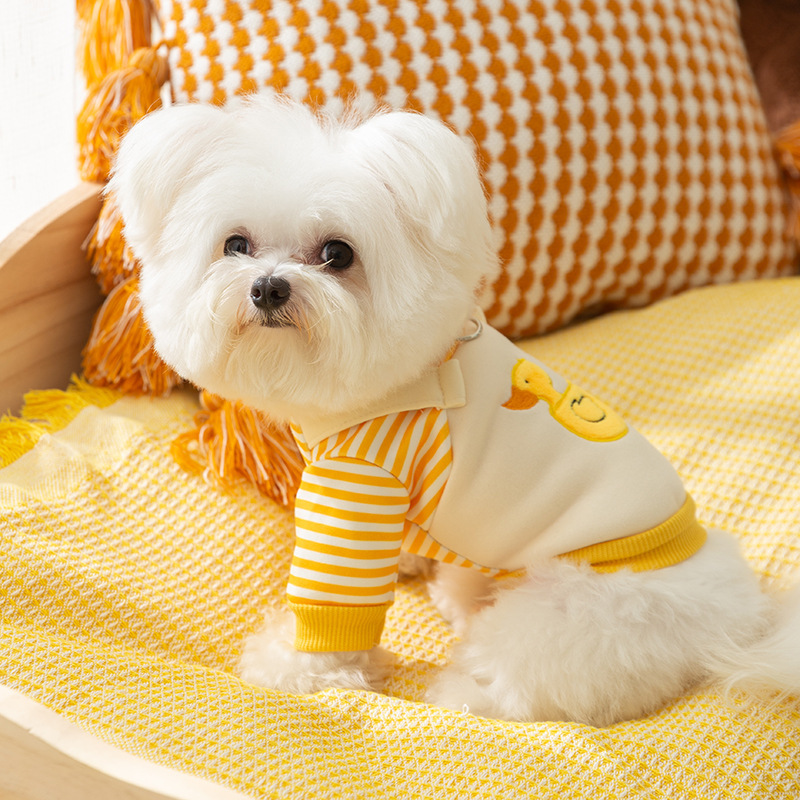 24 year new autumn and winter striped cute duck hoodie, autumn thin two legged clothes, puppy teddy, cat pet clothes