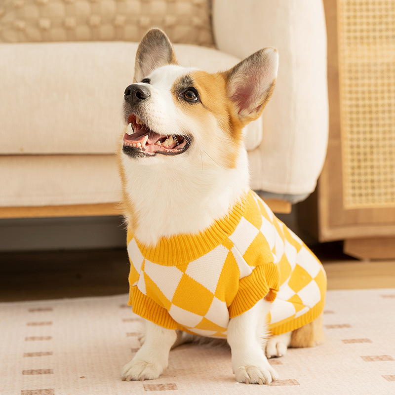 Autumn and winter checkerboard patch sweater two-piece middle and small dog clothes thickened warm pet clothes HS32