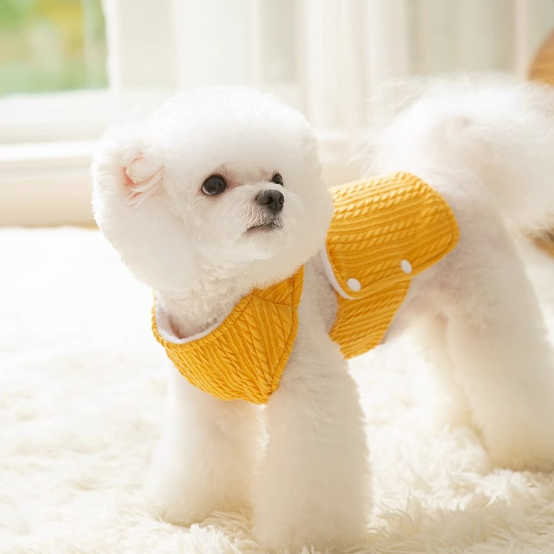 Autumn and winter dog thick warm vest, cat two legged teddy bear knitted double-layer vest, pet teddy dog clothes HS36