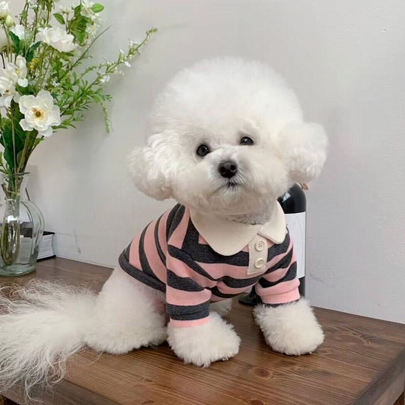 Spring Dog Clothing Casual Striped Round Neck T-shirt Small and Medium sized Dog Thin Polo Shirt Two Leg Clothing Pet HS44