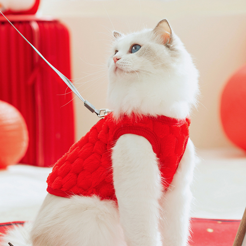 Autumn and winter cat clothing New Year festive two-legged fleece coat Blue cat baby cat pet cat clothing
