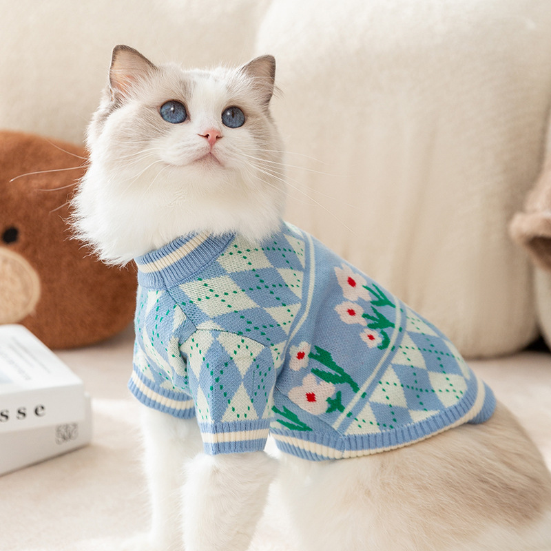 Autumn and winter cat clothes, simple knitted sweater, thickened warm cover, two legged clothes, blue cat pet clothing
