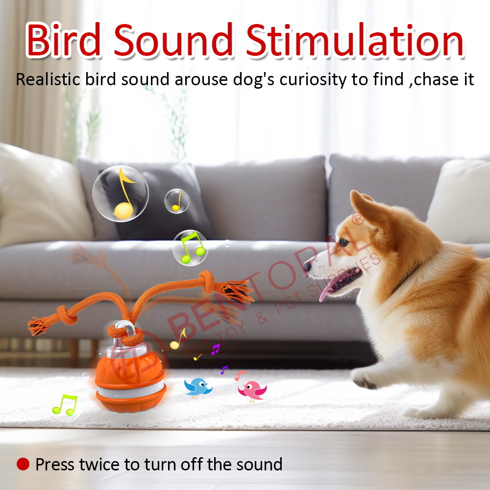 Electric Dog Leash Toy With Built-in Bird Sound Stimulation Suitable For Puppies,cat