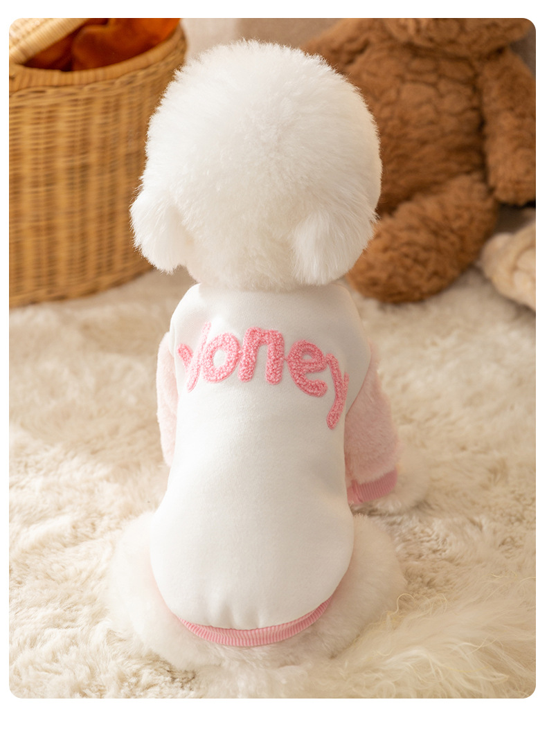 Dog clothes two feet hoodies autumn and winter thin and versatile base shirts small and medium-sized dog pet clothes