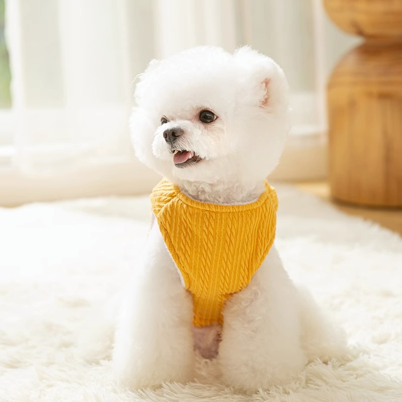 Autumn and winter dog thick warm vest, cat two legged teddy bear knitted double-layer vest, pet teddy dog clothes HS36