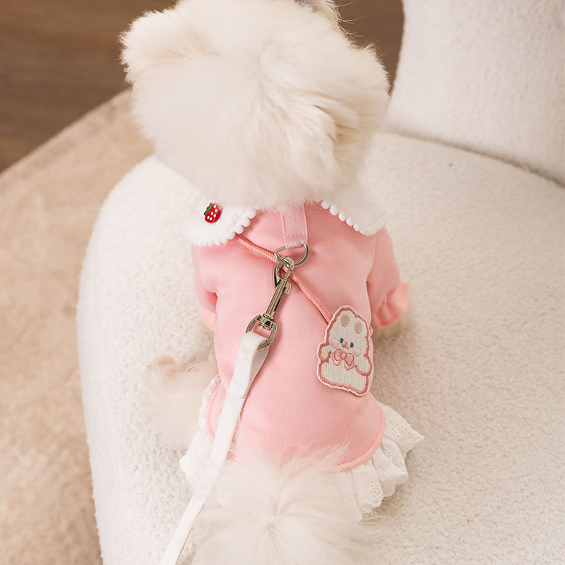 Spring and Autumn New Dog Clothes Flip Collar Hoodie Can Pull Two Feet Warm Teddy Pet Clothing HS47