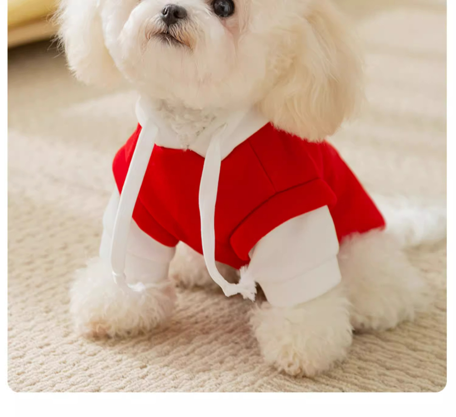 New autumn and winter products with hats cool casual little dog clothes hoodies thin designs for cats dog small and medium-sized pet clothes