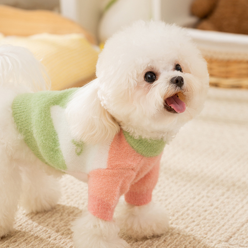 New autumn and winter clothing for puppies and dogs rainbow pullover sweater to keep warm for puppies Dog Apparel Pet Clothes