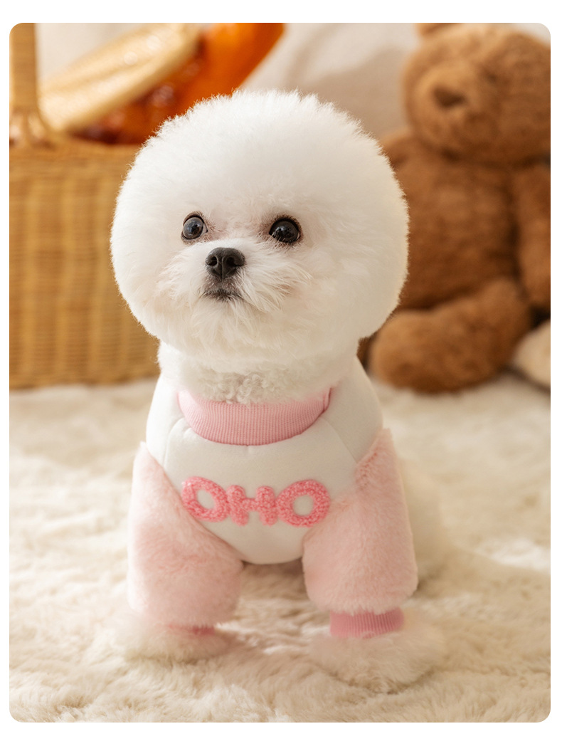Dog clothes two feet hoodies autumn and winter thin and versatile base shirts small and medium-sized dog pet clothes