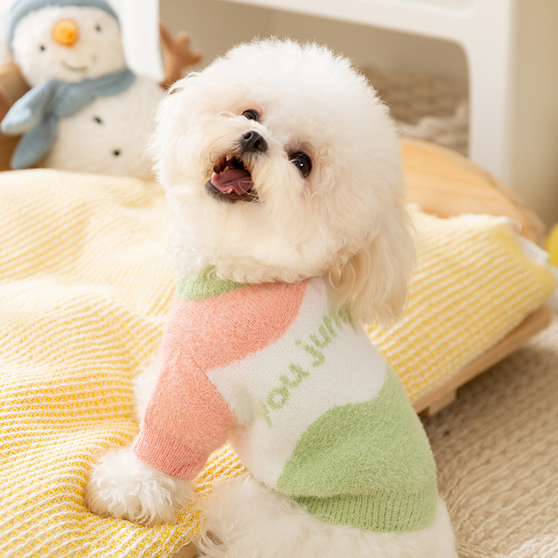 New autumn and winter clothing for puppies and dogs rainbow pullover sweater to keep warm for puppies Dog Apparel Pet Clothes