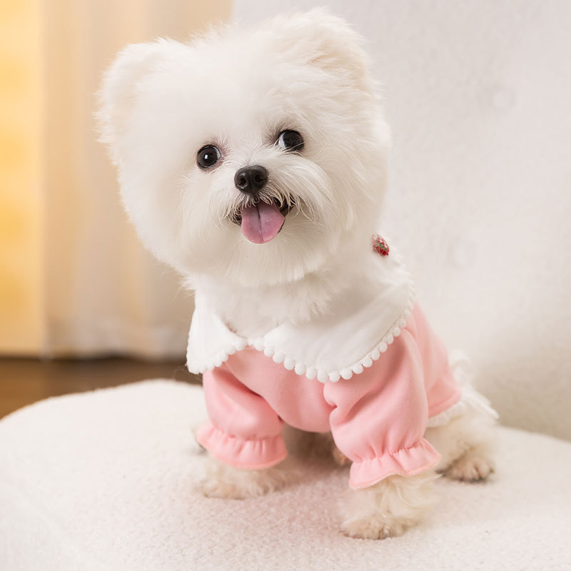 Spring and Autumn New Dog Clothes Flip Collar Hoodie Can Pull Two Feet Warm Teddy Pet Clothing HS47