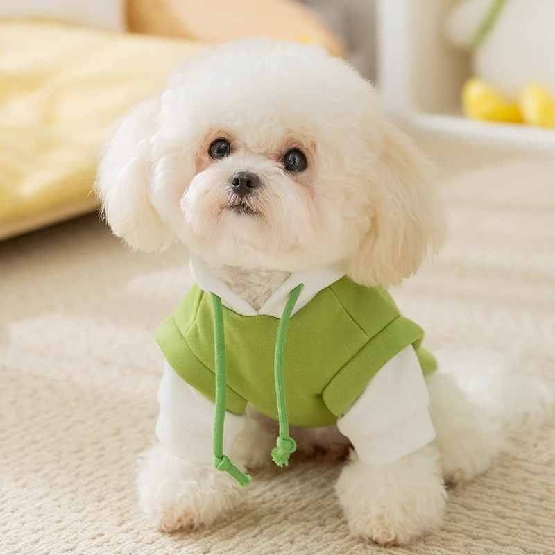 New autumn and winter trendy and cool casual little dog clothes, hoodies, thin designs for cats, small and medium-sized