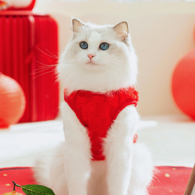 Autumn and winter cat clothing New Year festive two-legged fleece coat Blue cat baby cat pet cat clothing