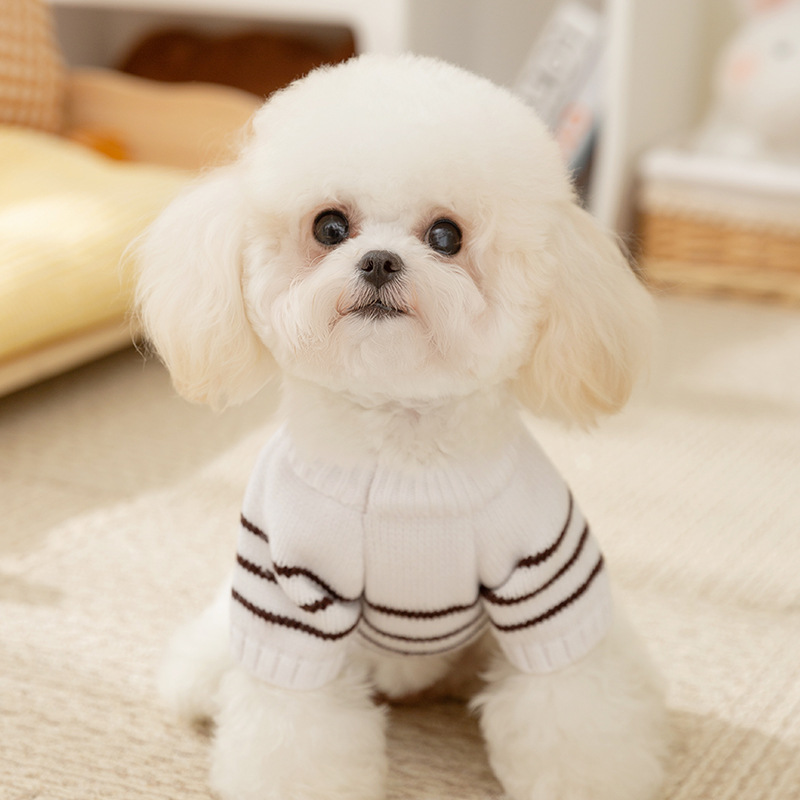 Autumn and winter dog clothes in Ins style, simple striped button sweater,small and medium-sized dog, cat, pet clothes