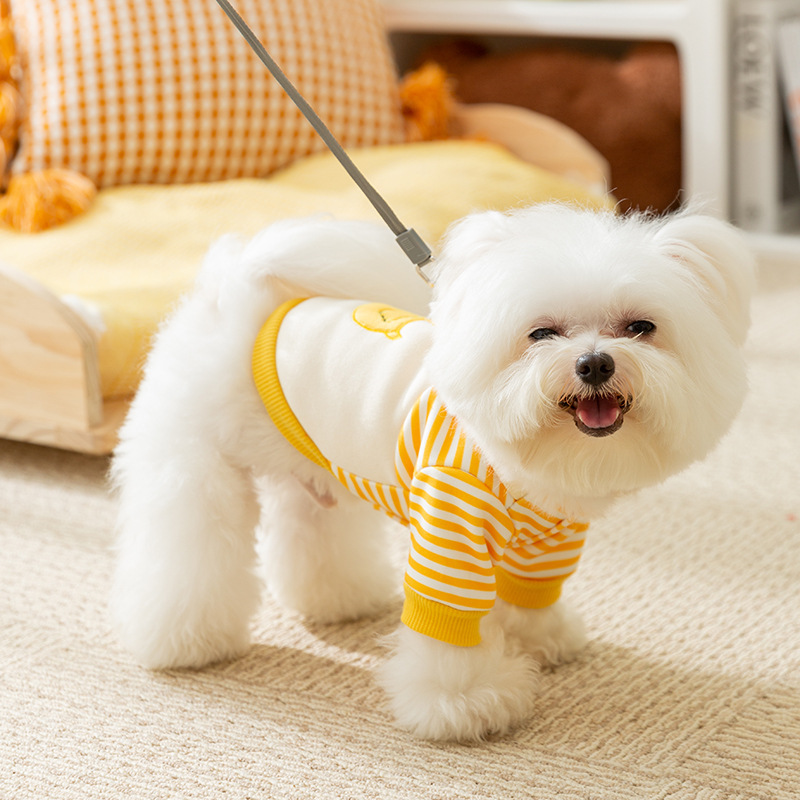 24 year new autumn and winter striped cute duck hoodie, autumn thin two legged clothes, puppy teddy, cat pet clothes