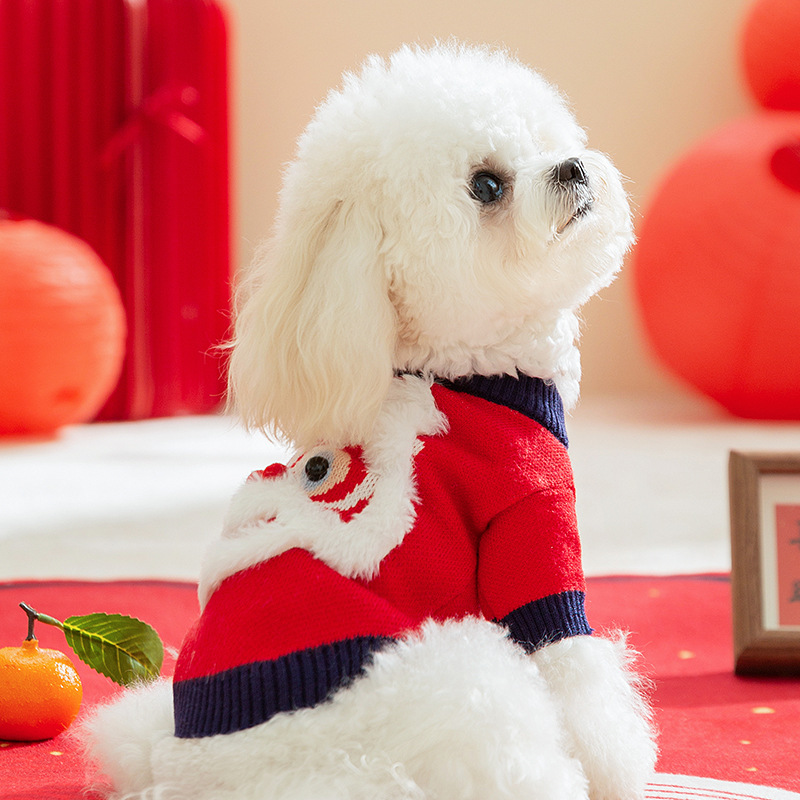 Autumn and Winter Dog Clothes for Chinese New Year Celebration, Three dimensional Lucky Sweater, Teddy, Small Dog Pet, Spring Festival