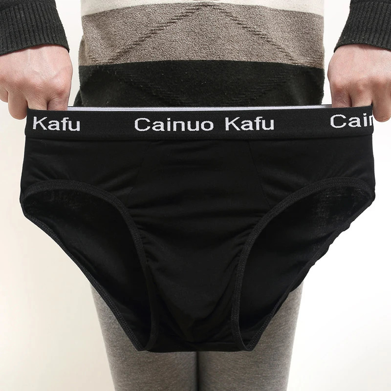 4 Pcslot Sexy Mens Underwear Breathable Mesh Silk Men Briefs Bamboo Fiber Bodysuit Male Comfortable Solid Underpants 241219