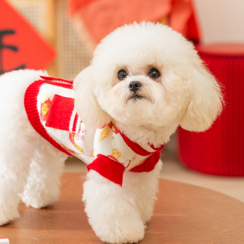 Autumn winter, dog clothes, Spring Festival, Chinese New Year, New Year's sweater, Dog Apparel Pet Clothes