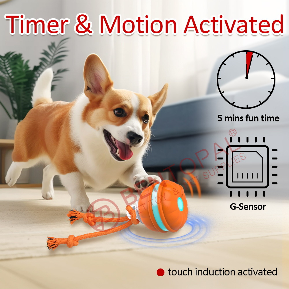 Electric Dog Leash Toy With Built-in Bird Sound Stimulation Suitable For Puppies,cat