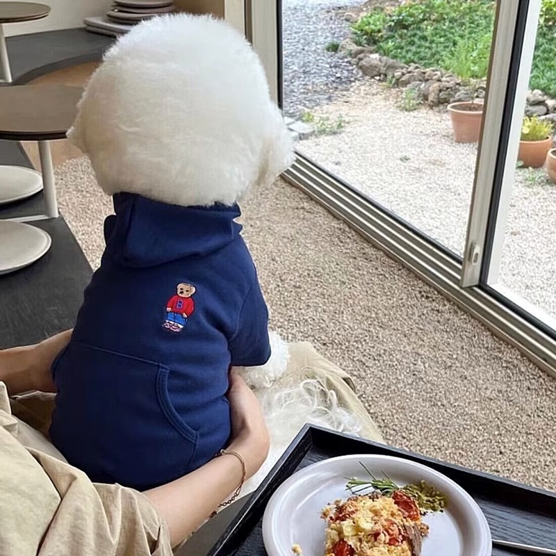 Spring and summer dog clothes, cute teddy casual hooded hoodies, small and medium-sized dogs,Dog Apparel Pet Clothes