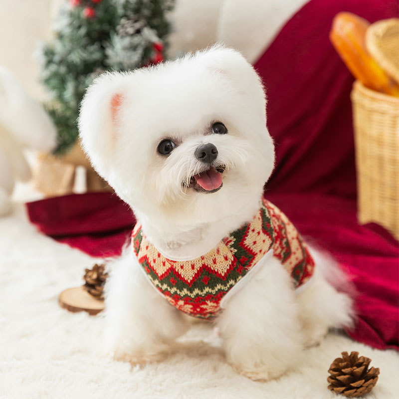 Chinese New Year Celebration Dog Clothes 3D Christmas Knitted Sweater Teddy Small Dog Cat Pet Sweater HS40