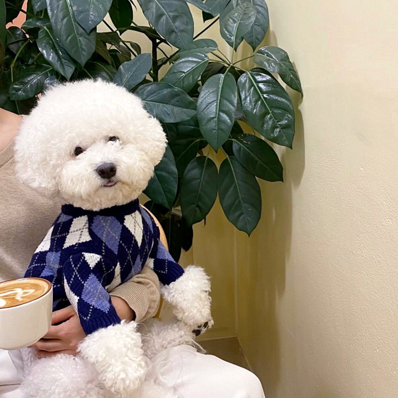 Autumn and winter clothing, dog warm sweaters, small and medium-sized dog two legged clothes, cat knitwear HS34