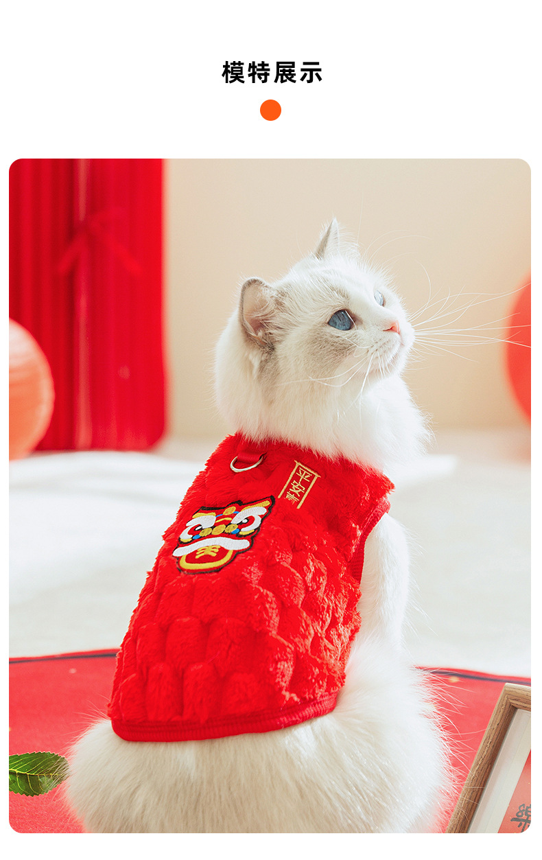 Autumn and winter cat clothing New Year festive two-legged fleece coat Blue cat baby cat pet cat clothing