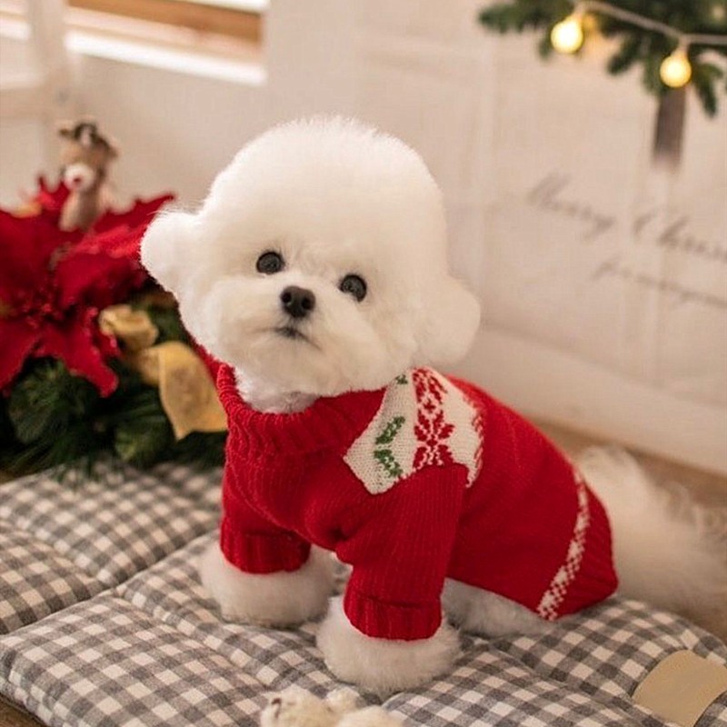 Autumn and winter dog festive New Year two-legged sweater Small and medium-sized dog warm knit Christmas cat clothes