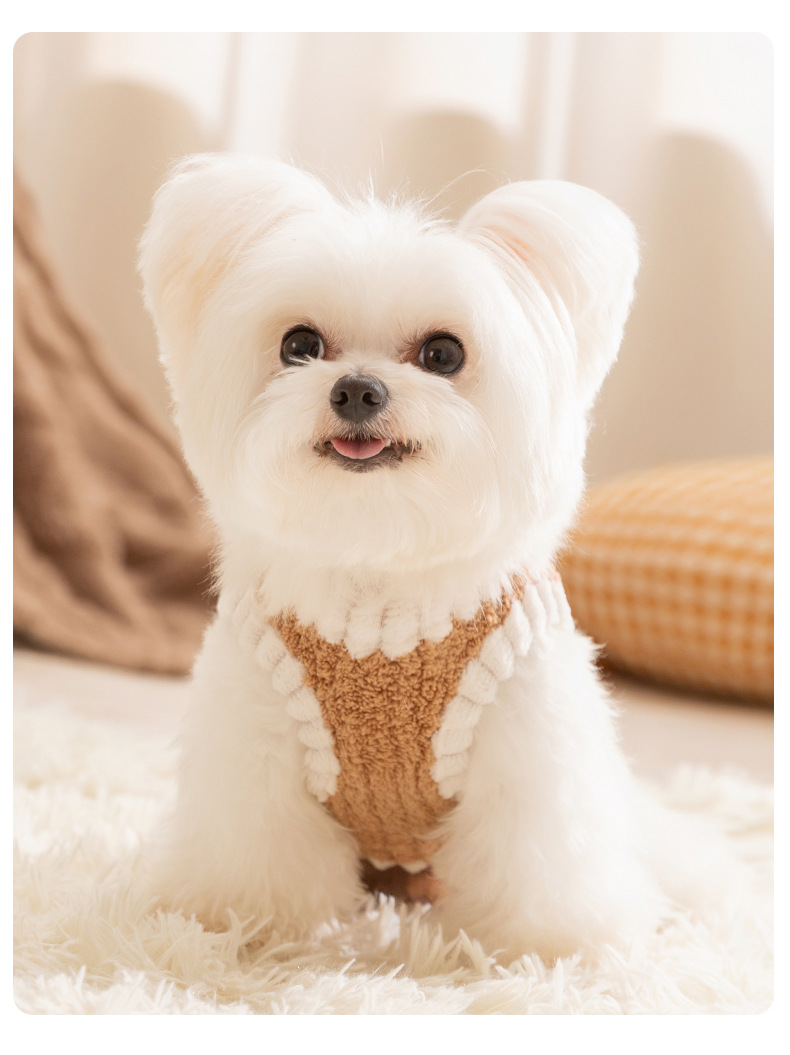Autumn and winter dog clothes embroidered vests small and medium-sized dogs two legged clothes pet clothing