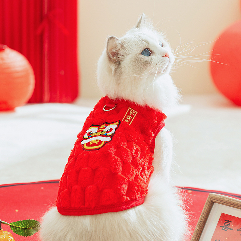 Autumn and winter cat clothing New Year festive two-legged fleece coat Blue cat baby cat pet cat clothing