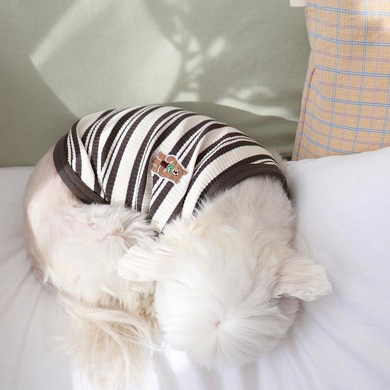 Summer season striped teddy bear vest, teddy bear universal dog clothing, small and medium-sized dog pet cat clothing