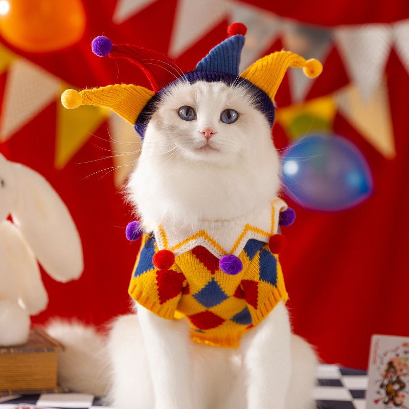 Autumn and Winter New Crazy Circus Cat Clothes Blue Cat Kitten Checkerboard Knitted Sweater Pet Clothes