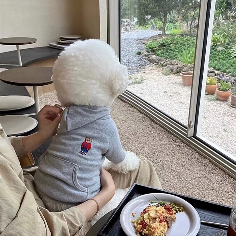 Spring and summer dog clothes, cute teddy casual hooded hoodies, small and medium-sized dogs,Dog Apparel Pet Clothes