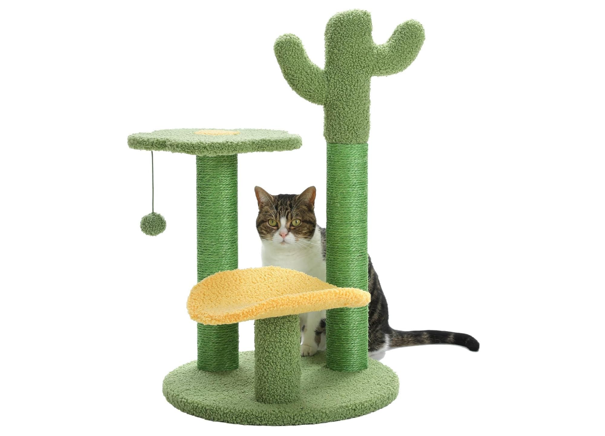 Made4Pets Cat Tree Cactus Cat Scratching Post Cats Tree Tower for Indoor Cat Scratchers Kitty Tower with Flower Perch, Dangling Ball, 3-7days delivery