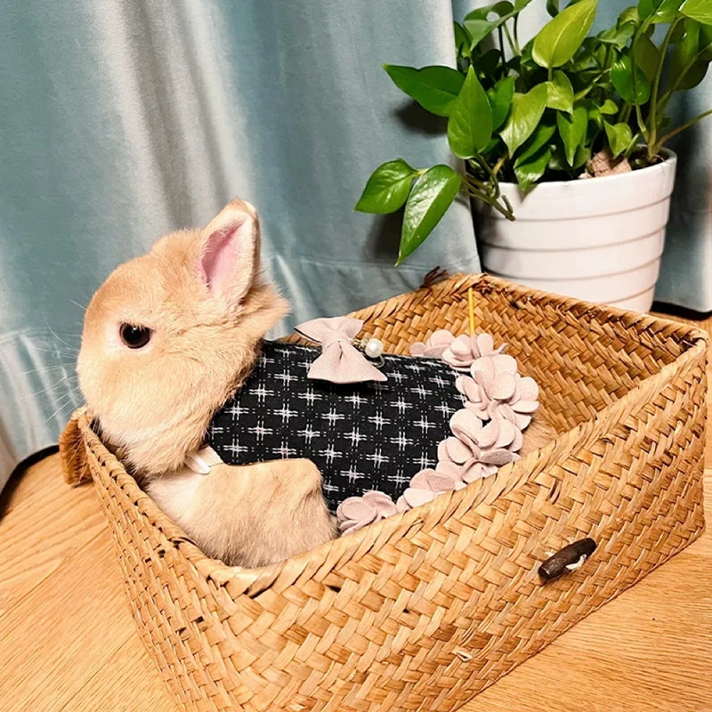 Rabbit Clothes Leash Bunny Petal Skirt Guinea Pig Cat Thermal Strap Lop-eared Dwarf Rabbit Outing Accessories Pet Traction Rope 241218