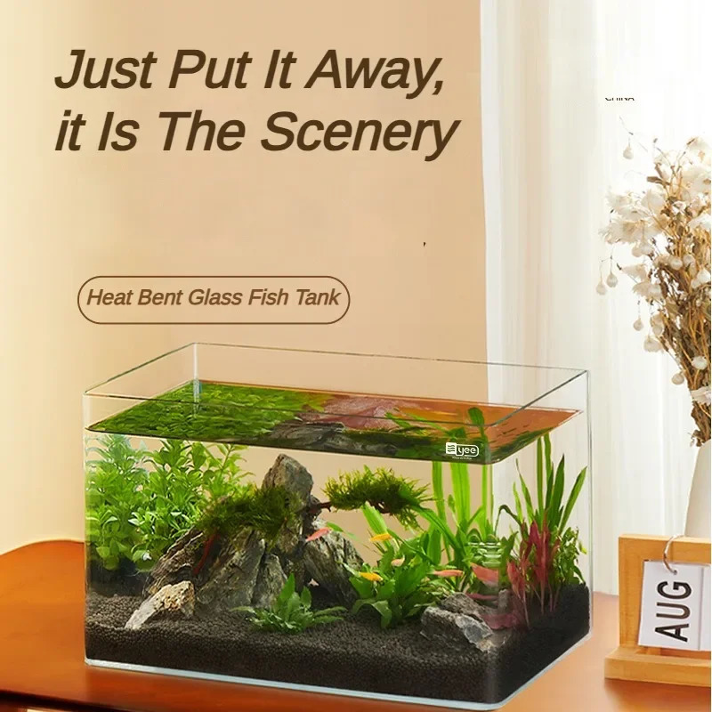 Glass fish tank explosion-proof glass bending tabletop small aquarium turtle ecological water tank with decorative accessories 241218