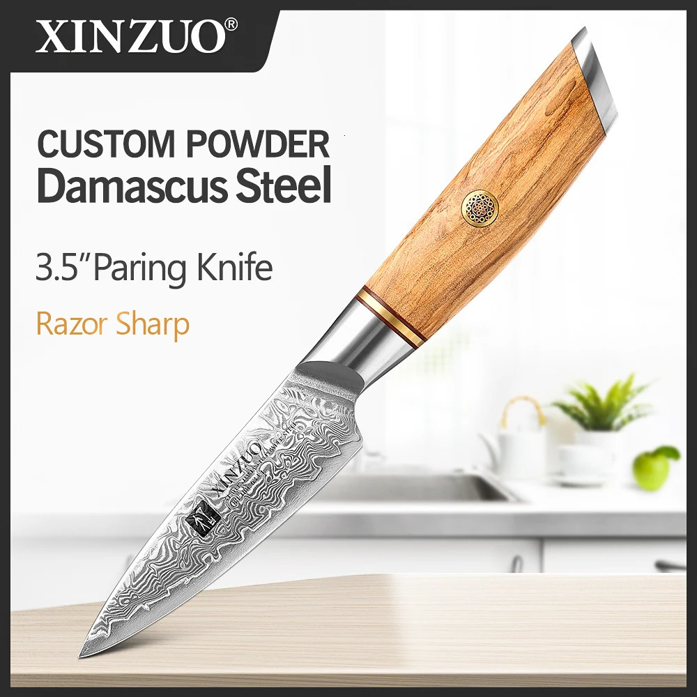 XINZUO 3.5-inch Paring knife 73 layer Damascus steel practical knife VG10 vegetable and fruit knife 241224