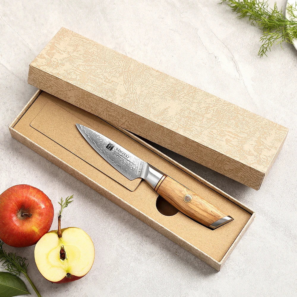 XINZUO 3.5-inch Paring knife 73 layer Damascus steel practical knife VG10 vegetable and fruit knife 241224