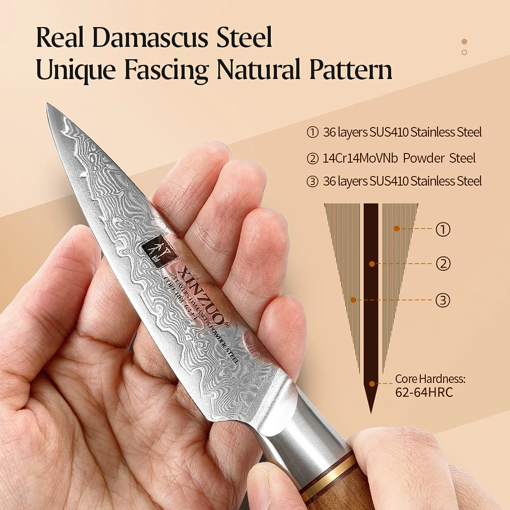 XINZUO 3.5-inch Paring knife 73 layer Damascus steel practical knife VG10 vegetable and fruit knife 241224