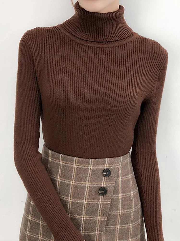 ITOOLIN Winter Women Turtleneck Sweater Basic Knitted Soft Pullovers Cashmere Jumpers For Women Elastic Warm Sweaters Autumn 241217